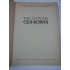 DICTIONAR  CEH-ROMAN